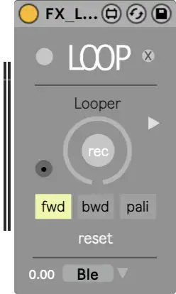 Looper Video Effects Module