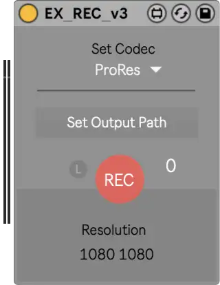 Record Video Effects Module